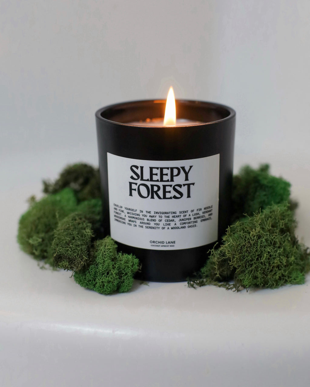 SLEEPY FOREST