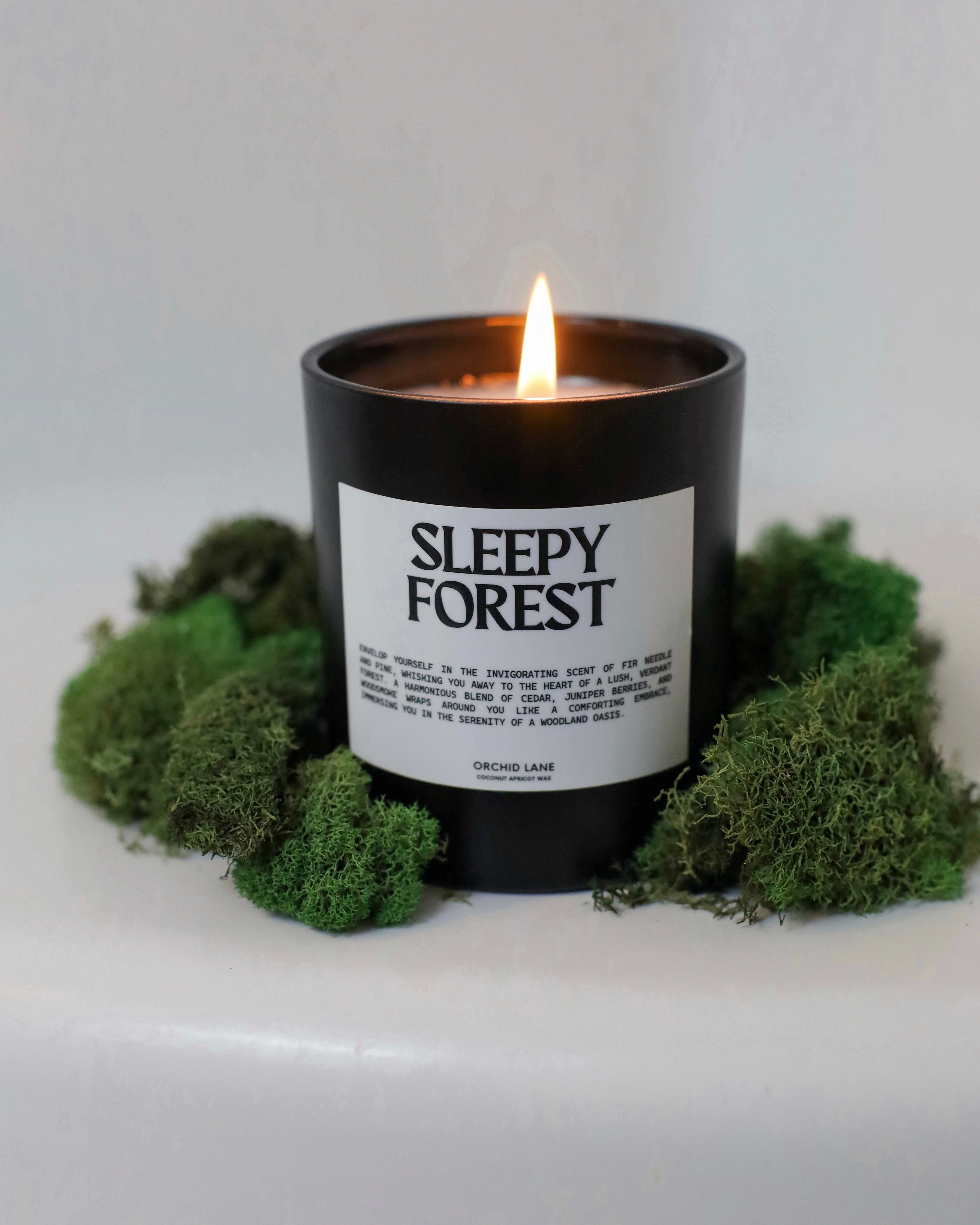 SLEEPY FOREST