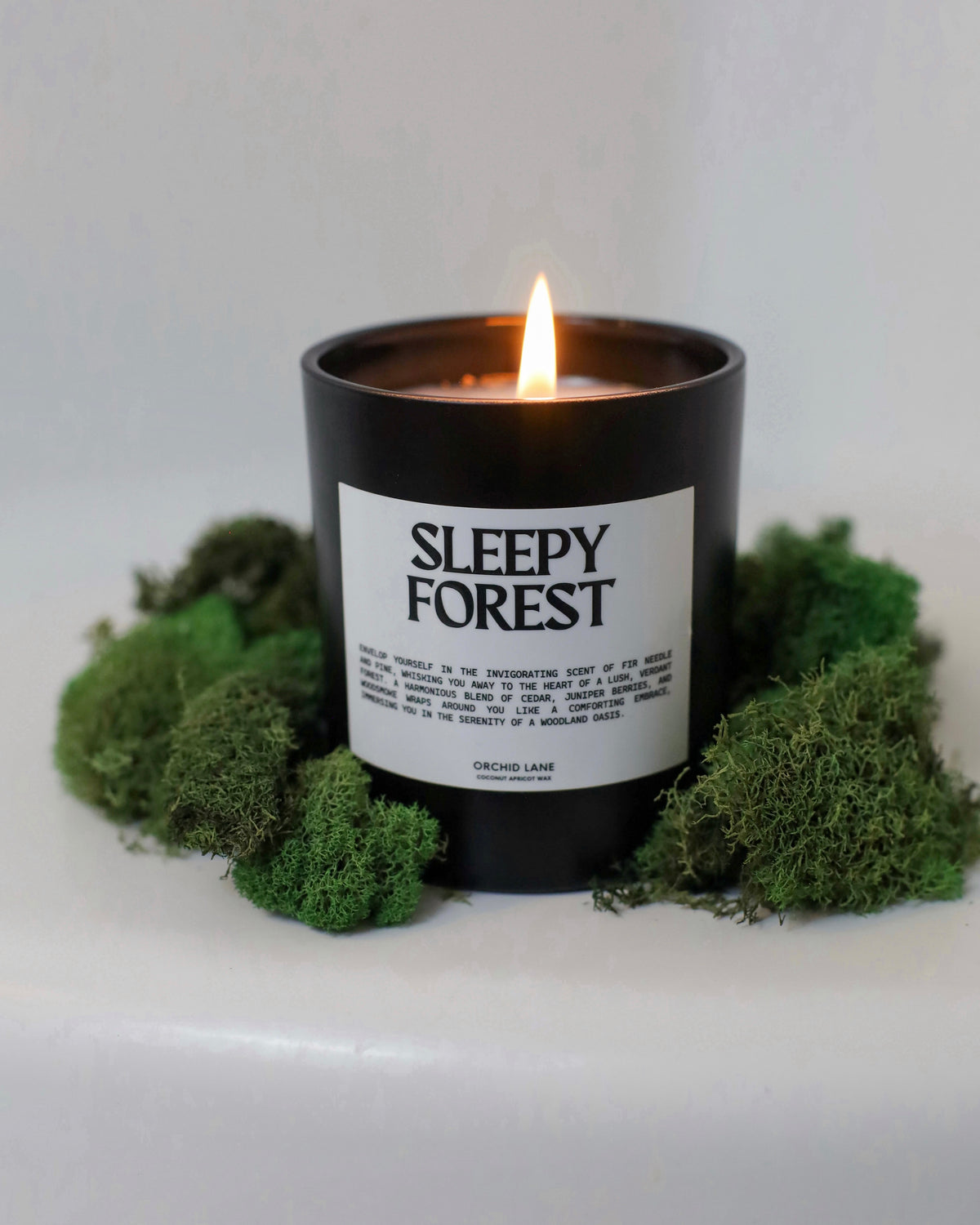 SLEEPY FOREST