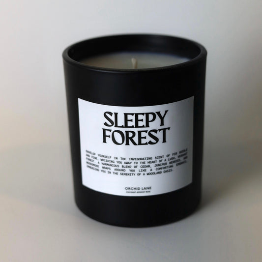 Sleepy Forest