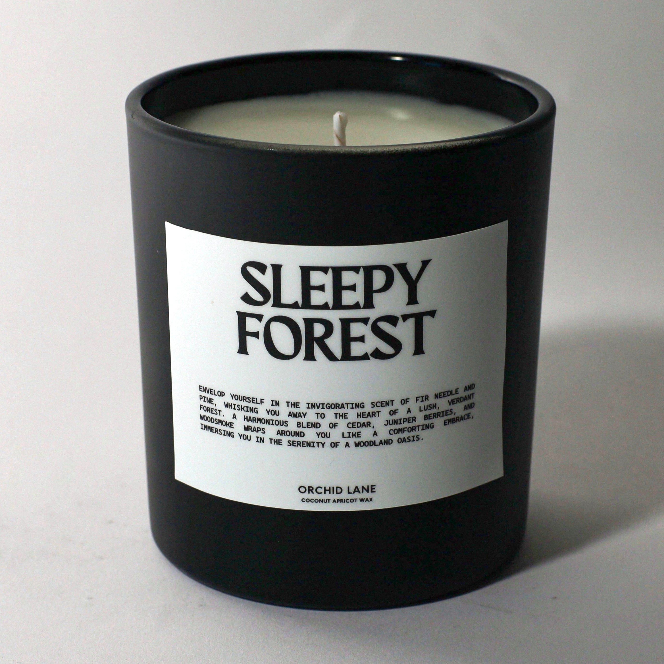 SLEEPY FOREST
