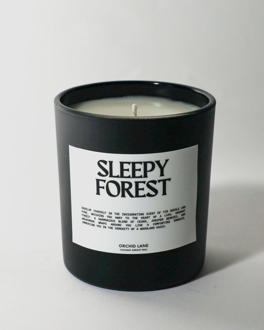 Sleepy Forest