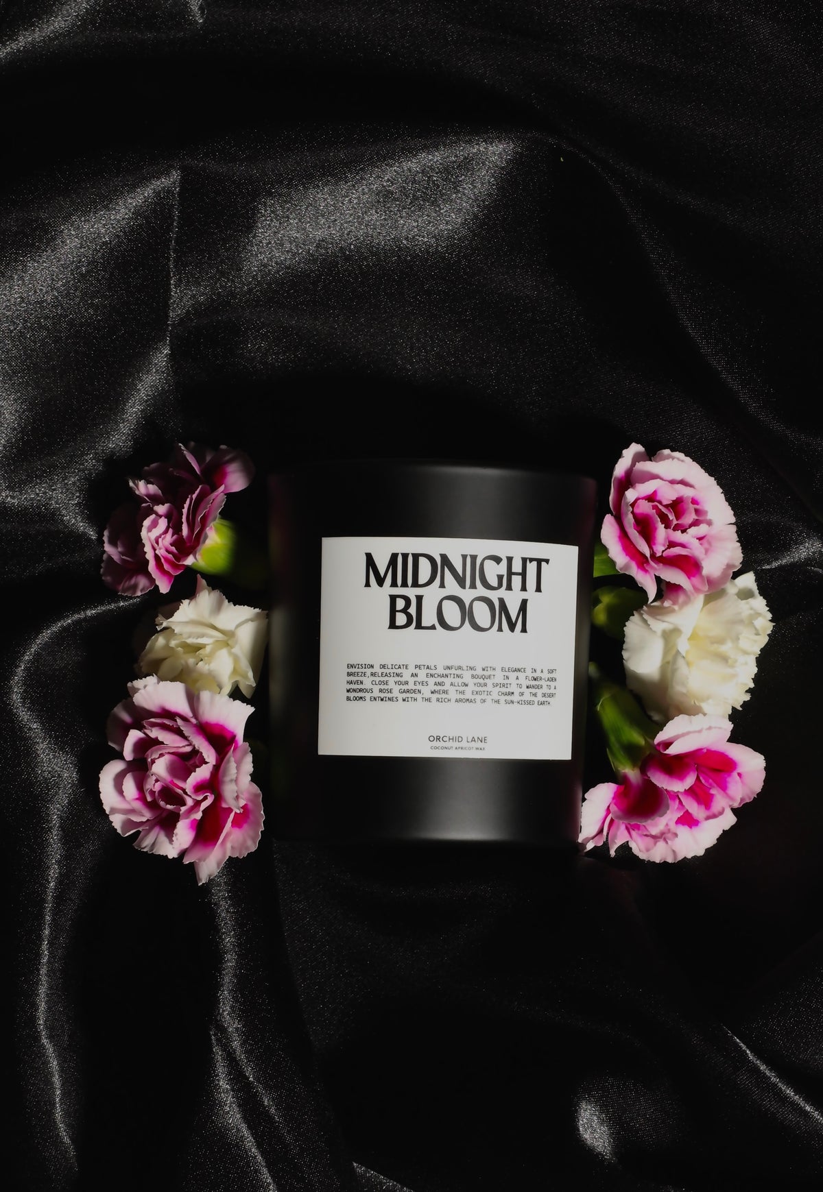 MIDNIGHT BLOOM