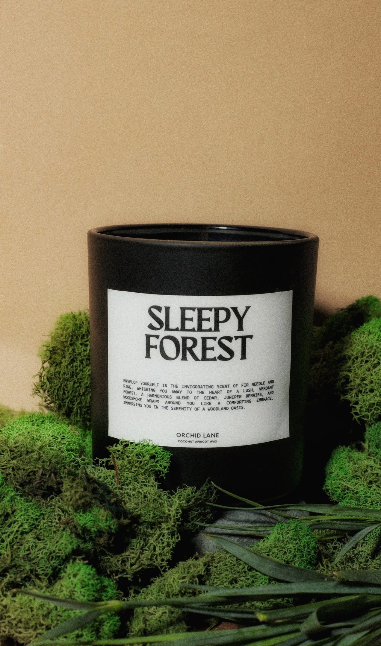 Sleepy Forest